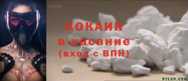 твердый Заводоуковск