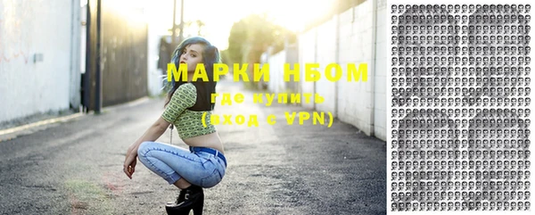 твердый Заводоуковск