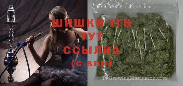 сатива Заволжск
