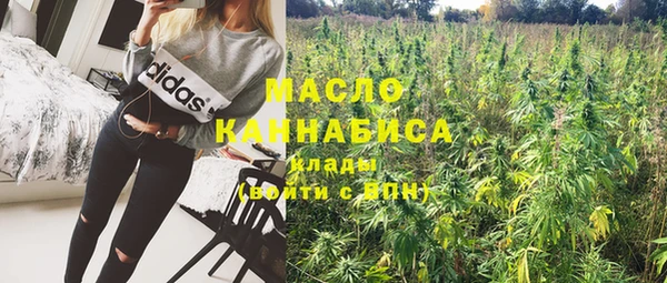 твердый Заводоуковск