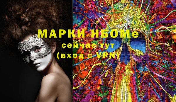 твердый Заводоуковск